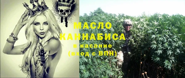 сатива Осташков