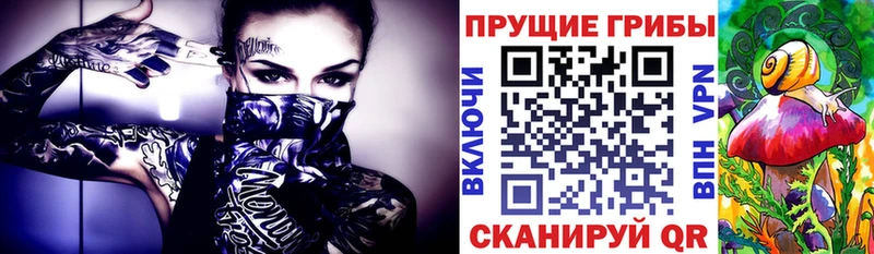 Псилоцибиновые грибы GOLDEN TEACHER  kraken ТОР  Чишмы 